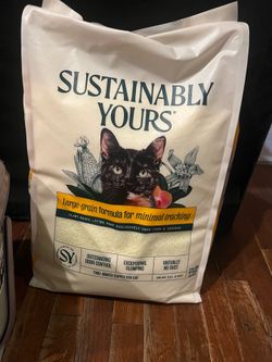 Cat Litter