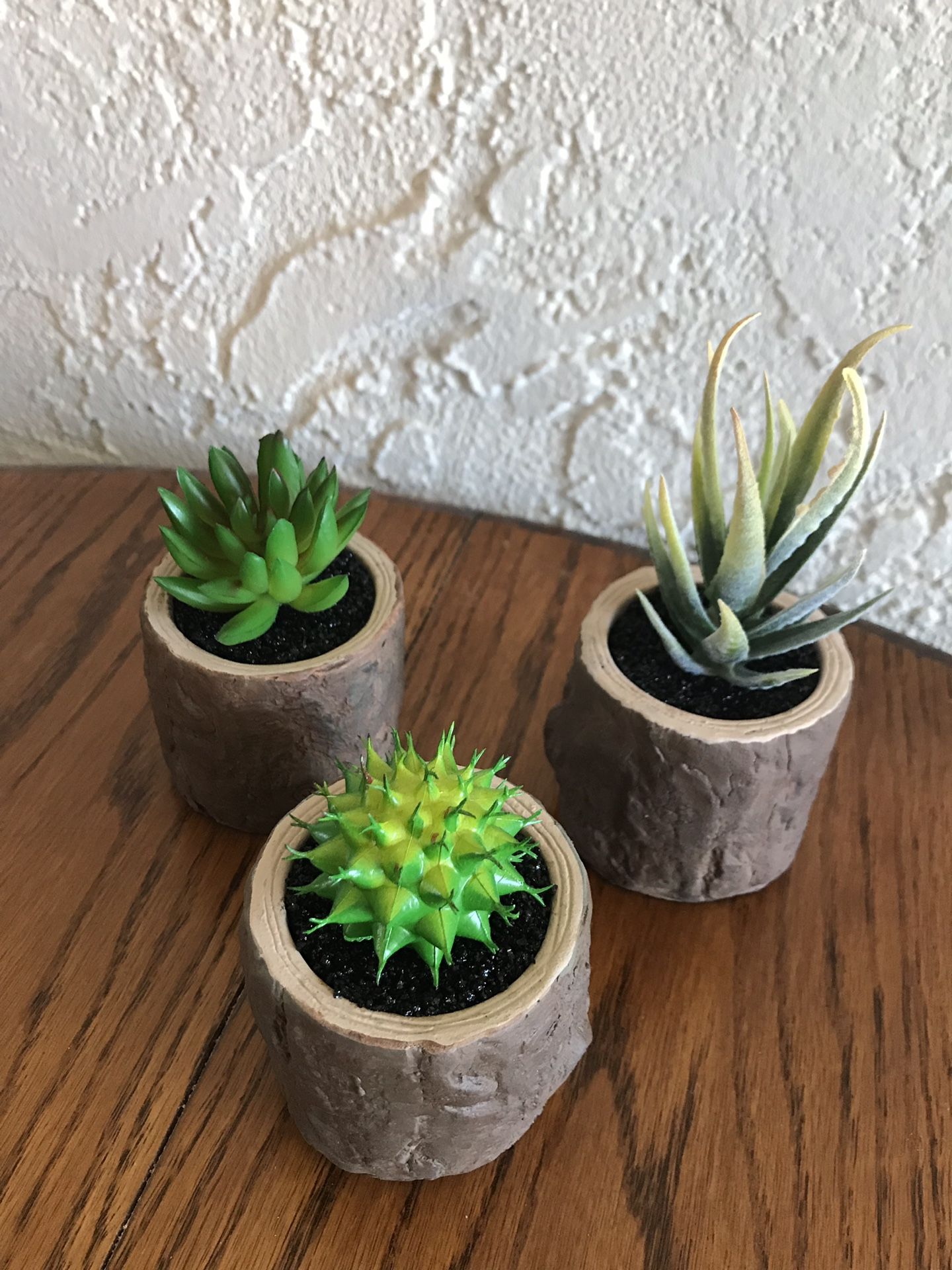 Brand new mini faux succulents