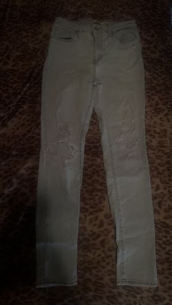 Levi Jeans 