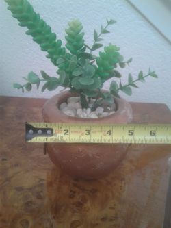 Artificial plant in pot. Asking $10