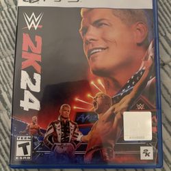 PS4 WWE 2K24 Works Perfectly No Problems At All