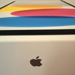 iPad A16 Brand New $300