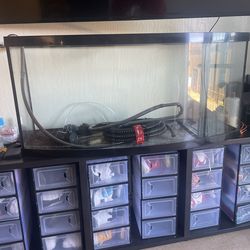 80 Gallon Tank With Fans And Filter Pump Set
