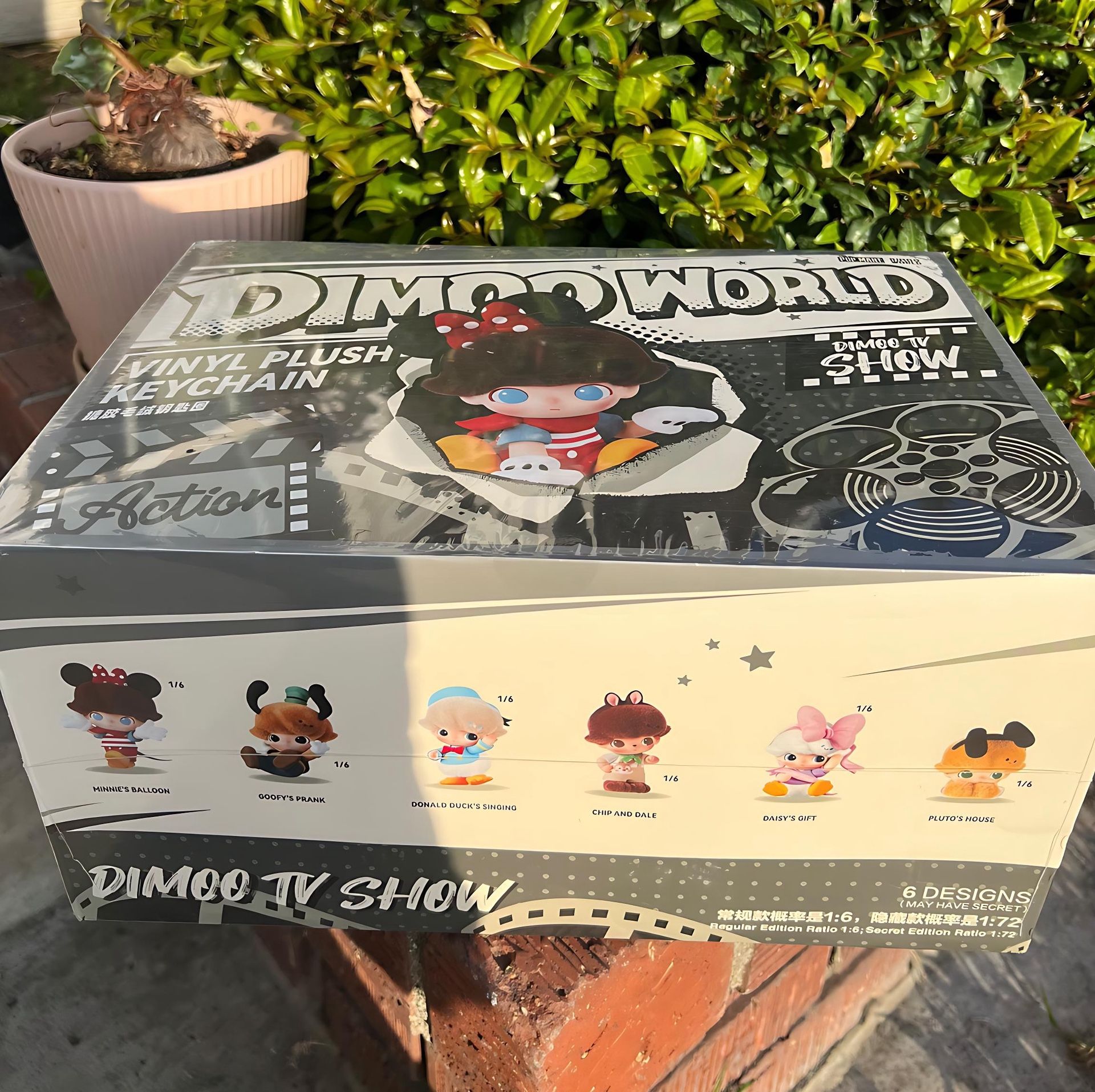 Dimoo World Authentic Box With 6pcs 