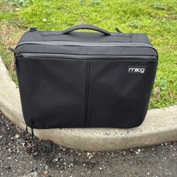 Moog Case