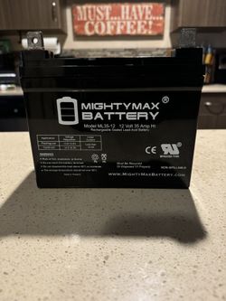Mighty max 12v 35AMP Marine battery
