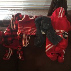 Dog Cloths 