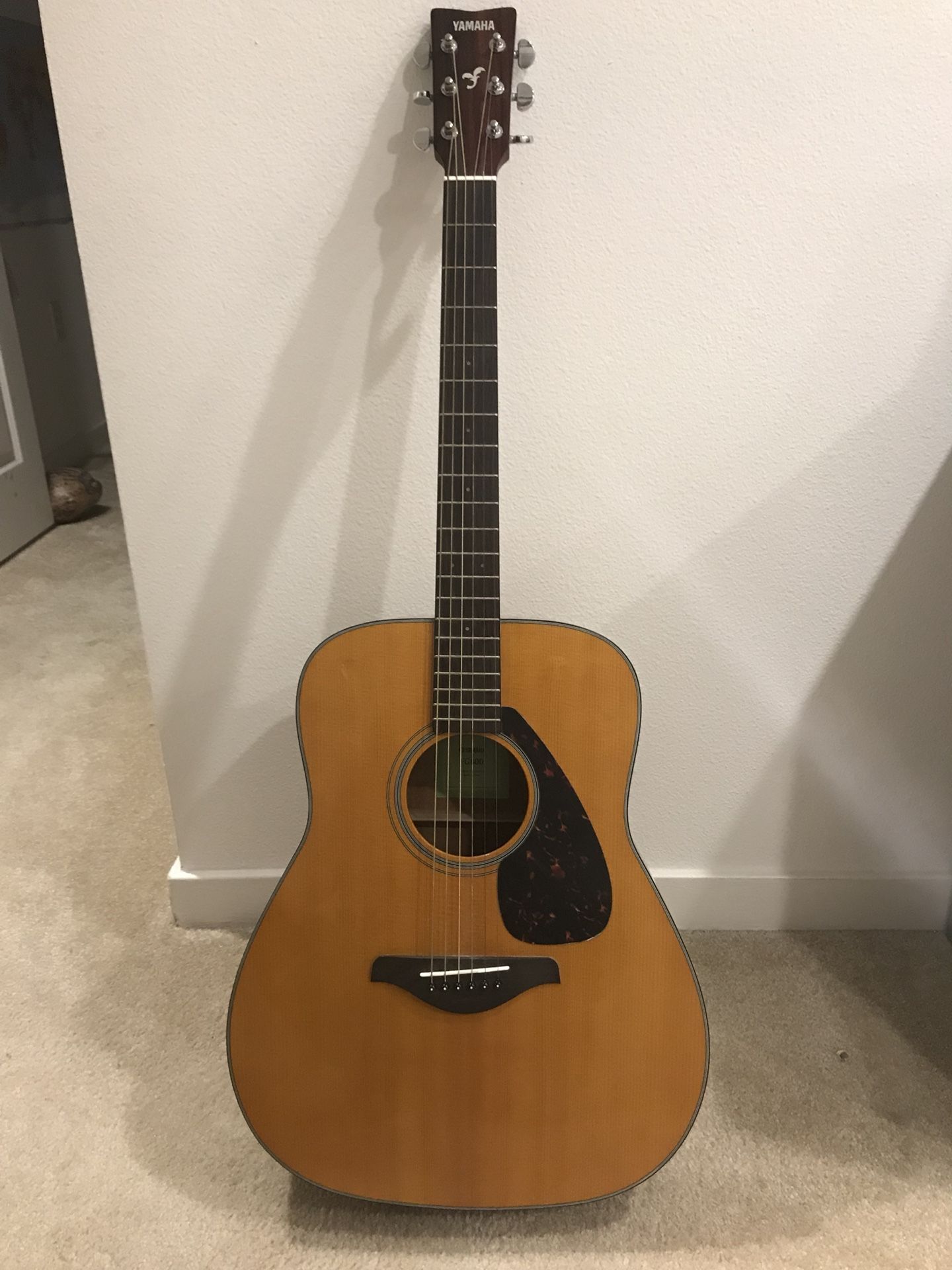 Acoustic guitar