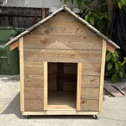 Dog House / Casa De Perro 