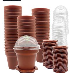 50 Pack Cupcake Plant Nursery Pots with Humidity Dome