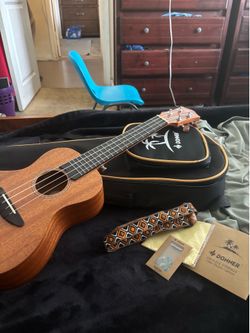 Donner Ukelele Set
