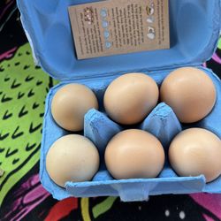 Farm Fresh Eggs 