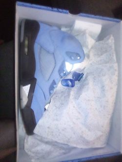 Jordan 5