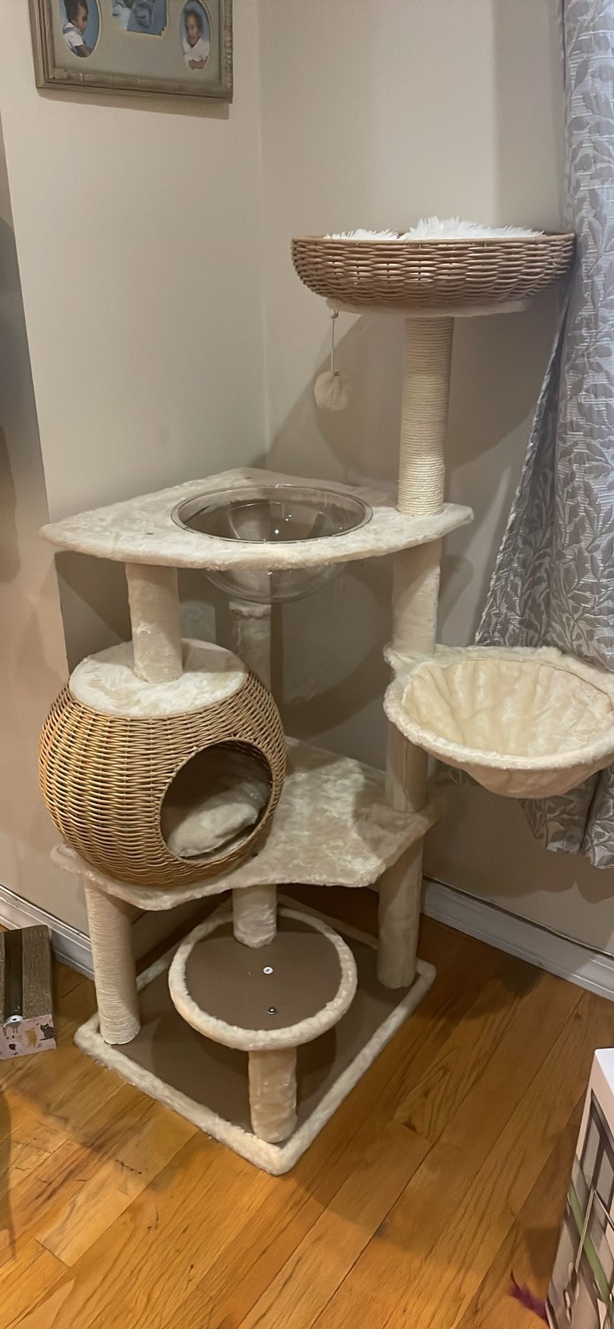 Cat Tower