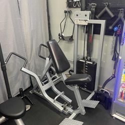 Flex Fitness Dorsi Flexor Row