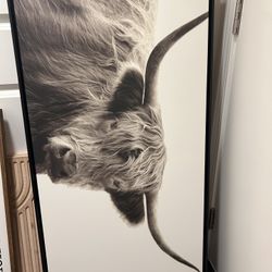 Cattle Portrait Art 