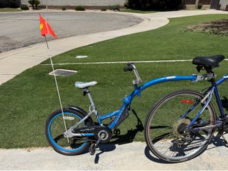 WeeRide Pro Pilot Tag Along Bike