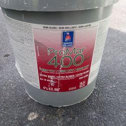 New Paint (5 gallons)