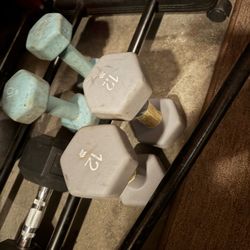 Workout Weights & Equipment