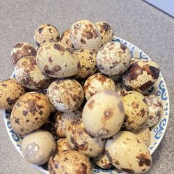 Quail eggs for sale