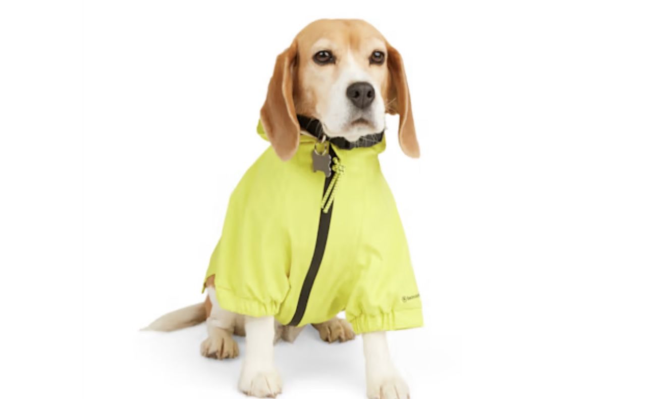 NWT Backcountry x Petco Collab Raincoat