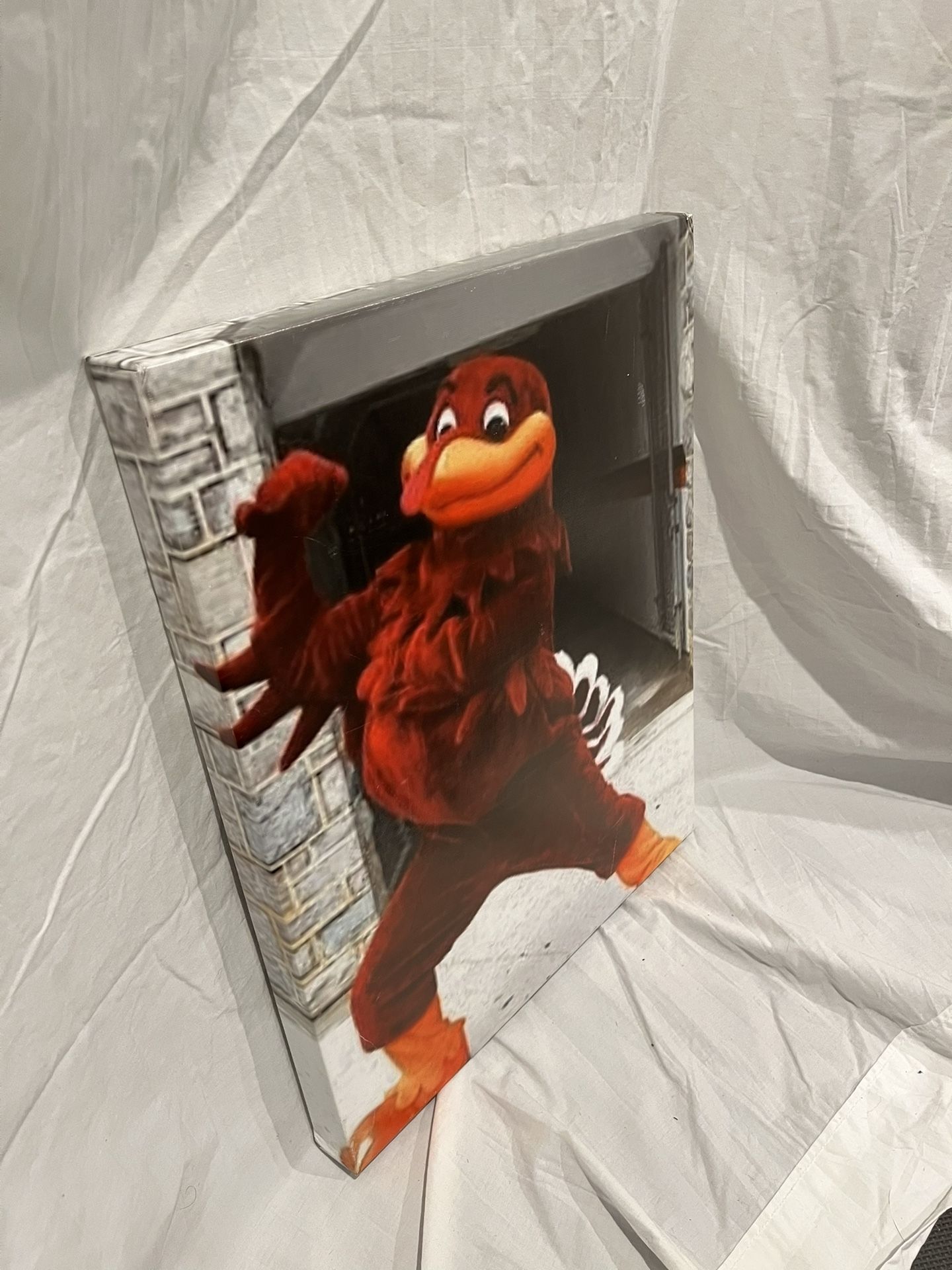 Virginia Tech (VT) Decor - Hokie