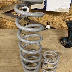 Rzr Dynamix Springs 