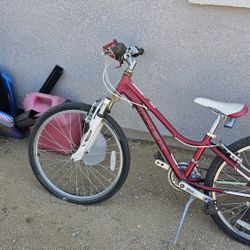 Trek Kids Mountain Buke