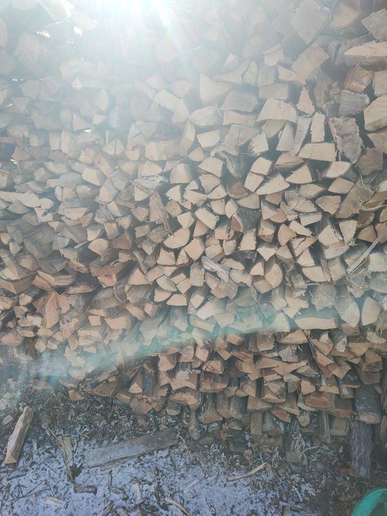 Firewood