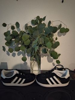 Adidas shoes for kids