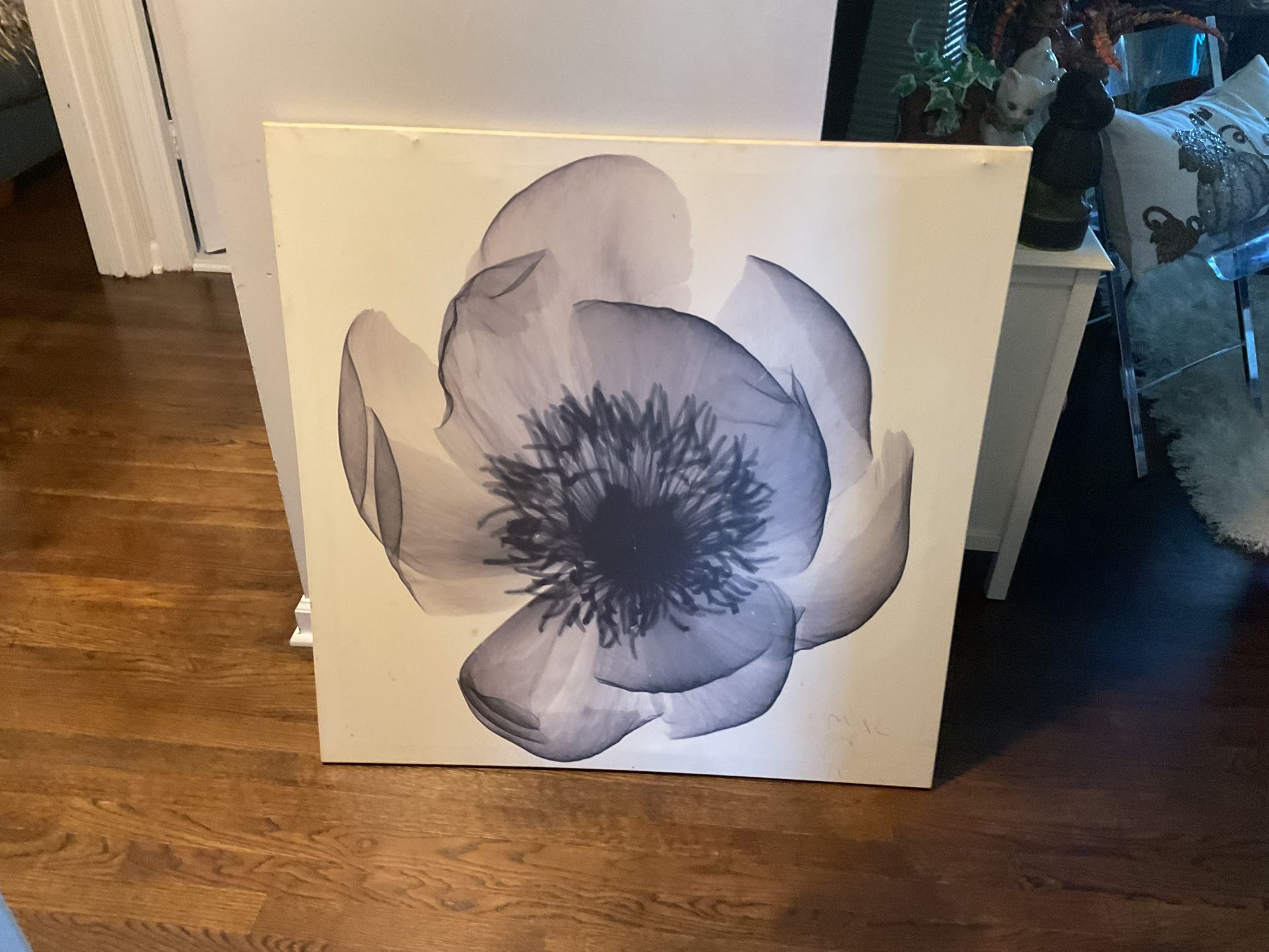 A Beautiful Square Black Rose On A White Canvas (36” X 36”)