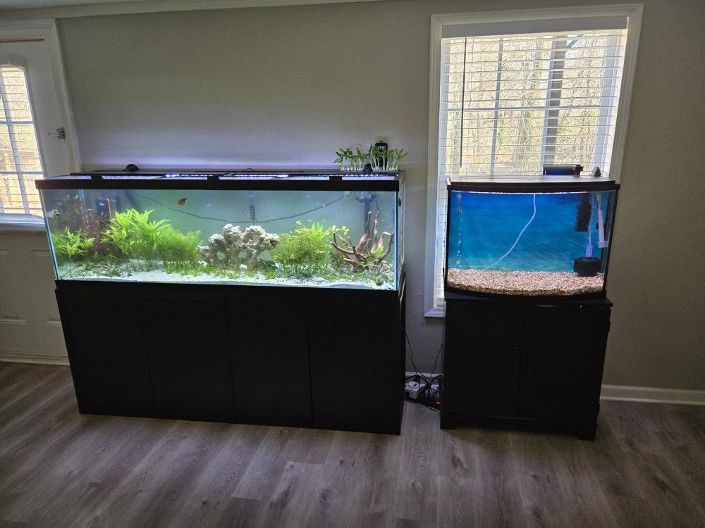 36 Gallon Aquarium & Stand