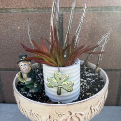 Succulent St. Patrick’s Day Display