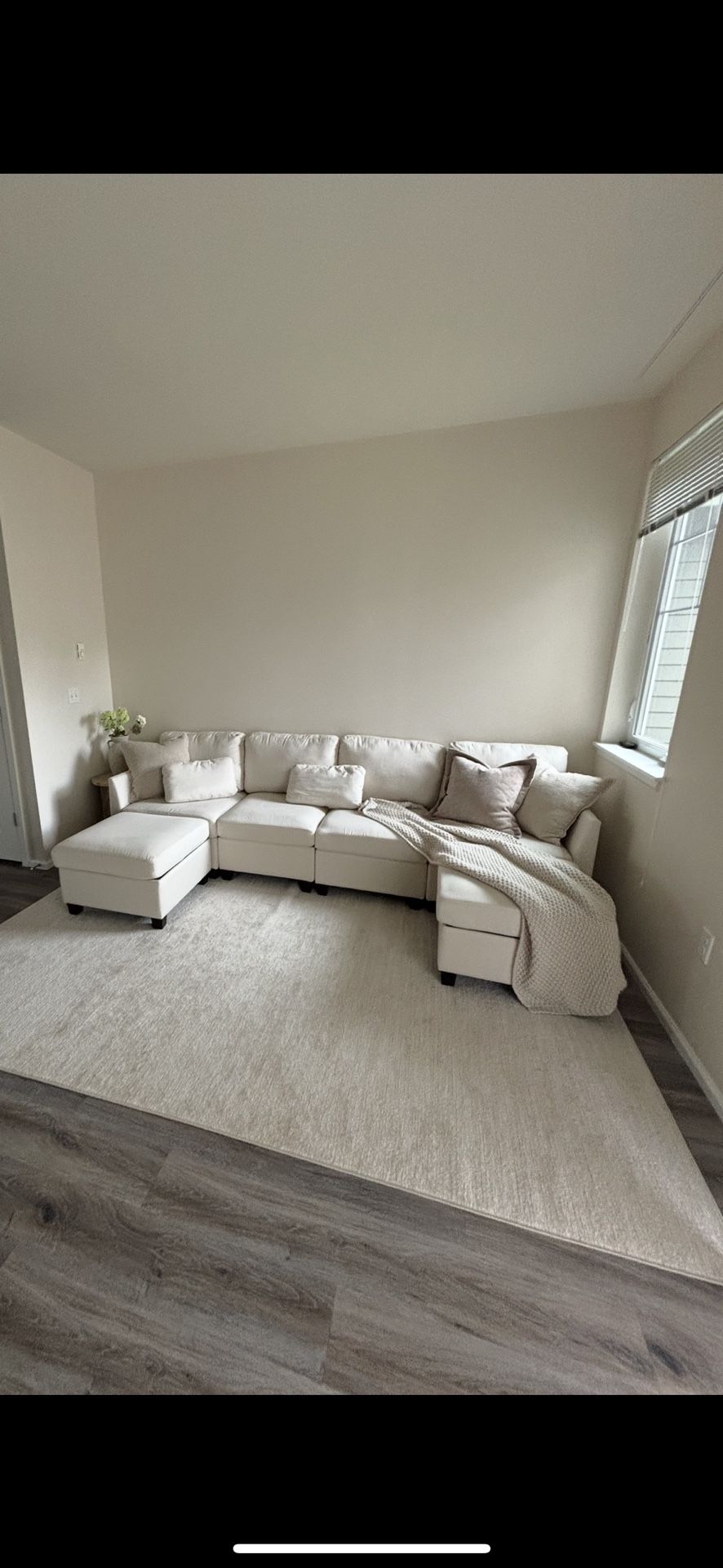 Couch For Sale 
