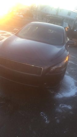 Nissan Maxima