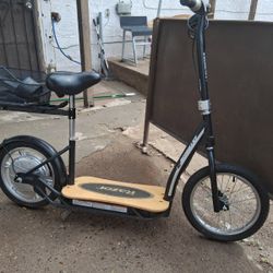 Razor Electric Scooter 