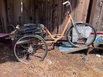 3 wheel tricycle