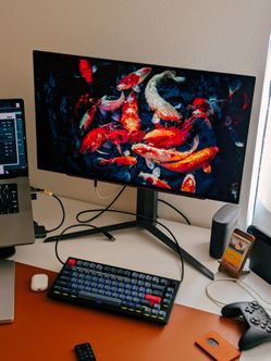 LG 27GR95QE-B OLED Gaming Monitor