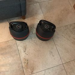 BowFlex SelectTech 840 Adjustable Kettlebells (2)
