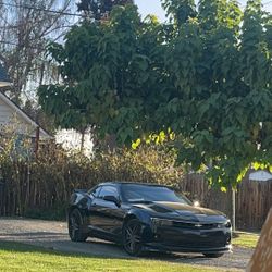 Camero 2015 
