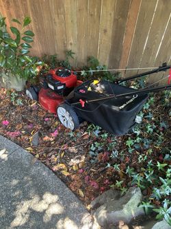 Troy Bilt Tb110 Lawnmower