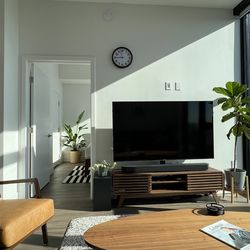 Mid Century Modern TV stand