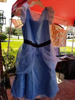 Cinderella plus size costume