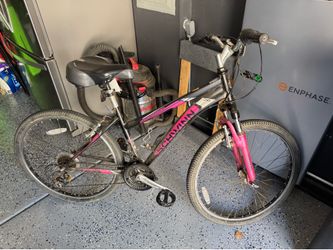 26 in bike