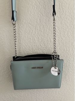 Steve Madden purse