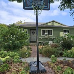 Lifetime Basketball Hoop