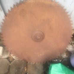 Large Vintage Saw Blade 