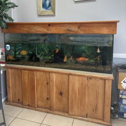 Large Wooden Fish Tank with Stand + Filter & Supplies - Fully Set Up!