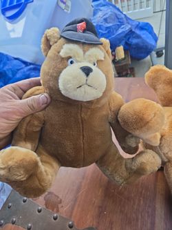WWE steve austin bear