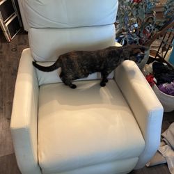 Rocker Recliner 